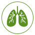 肺 image