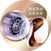 sensor